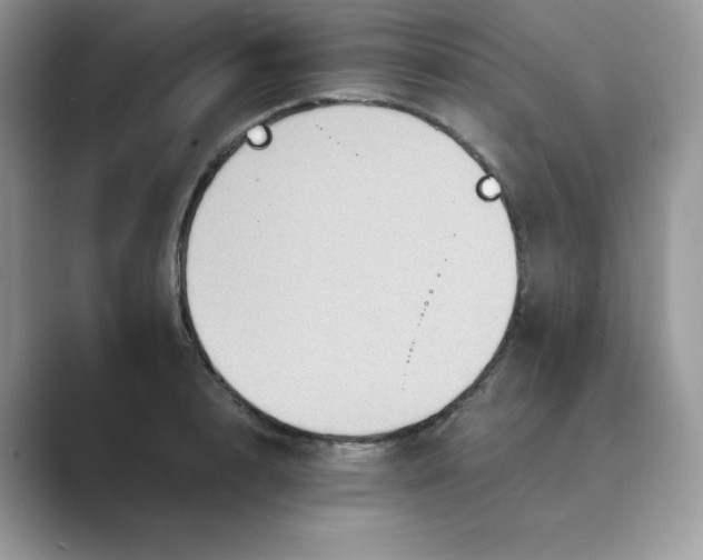 X0000089730848200707051737