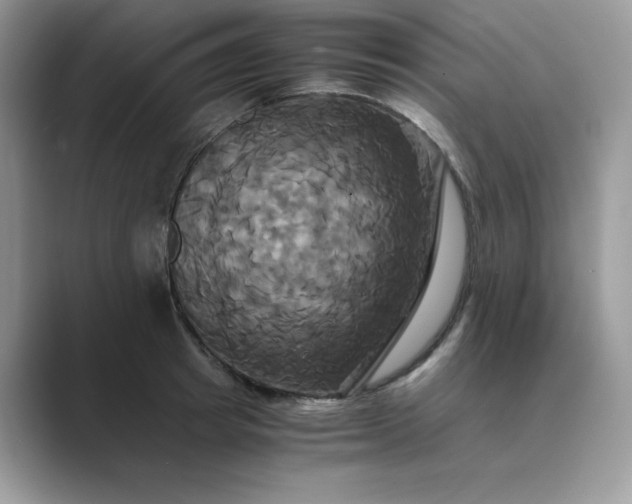 X0000089730849200707051737