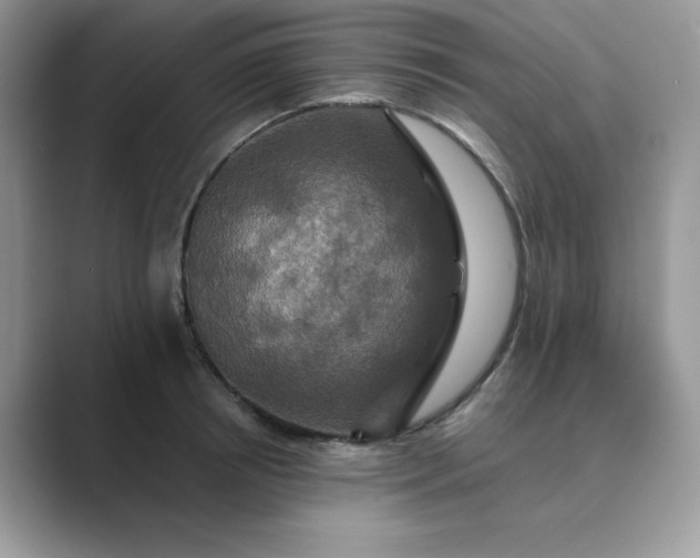 X0000089730850200707051737