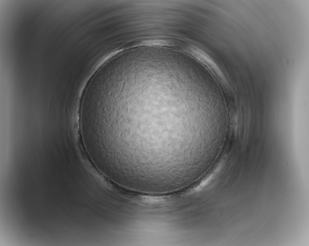 X0000089730852200707051737