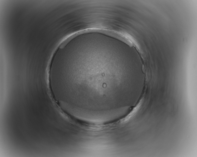 X0000089730854200707051737