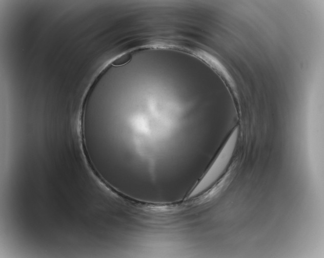 X0000089730855200707051737