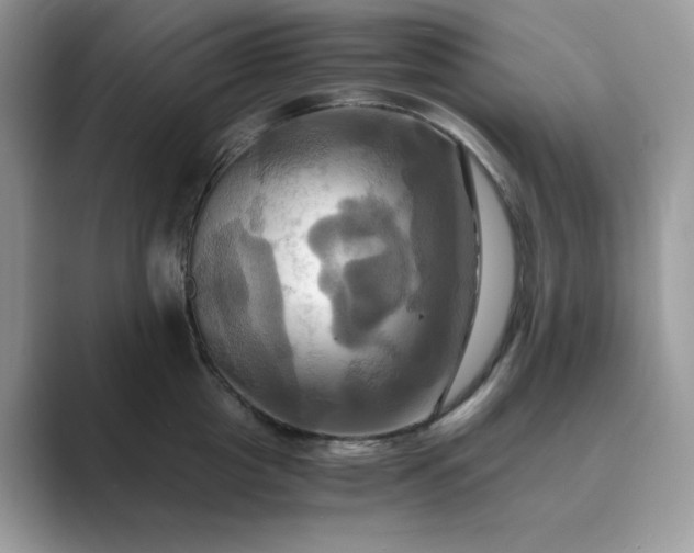 X0000089730857200707051737