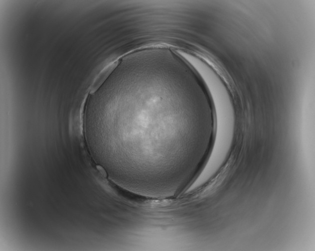 X0000089730858200707051738