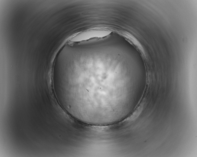 X0000089730860200707051738