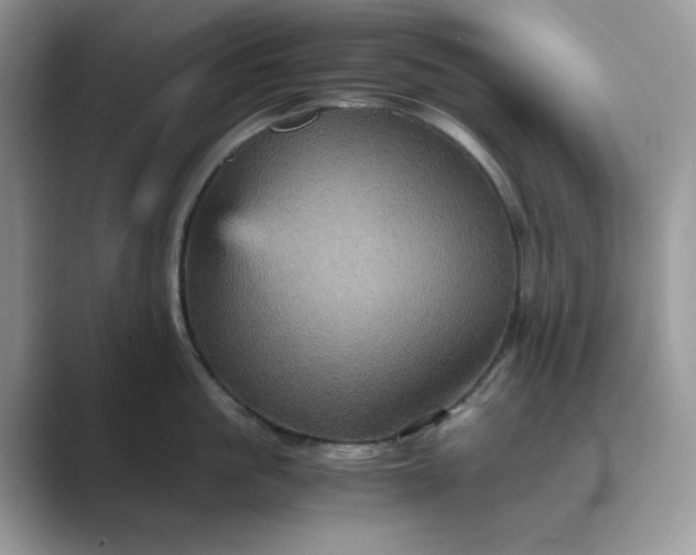 X0000089730861200707051738