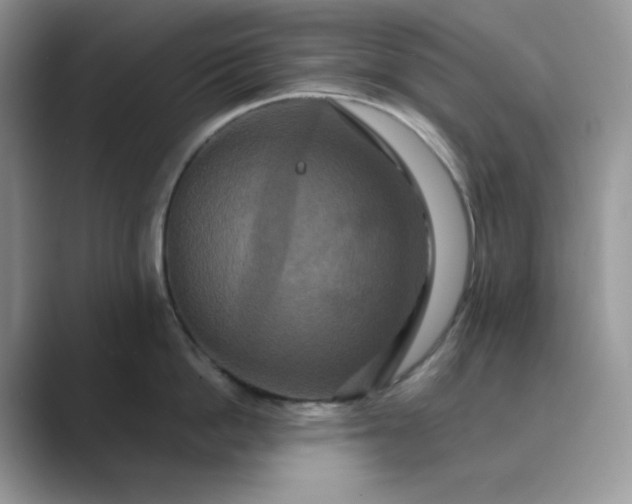 X0000089730862200707051738