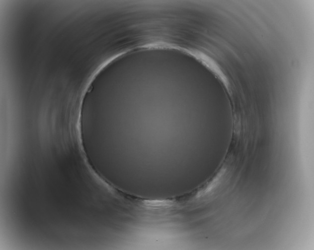 X0000089730863200707051738