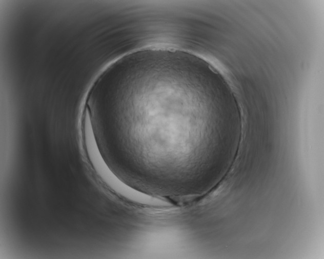 X0000089730864200707051738