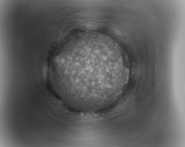 X0000089730866200707051737