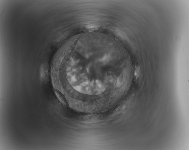 X0000089730867200707051737