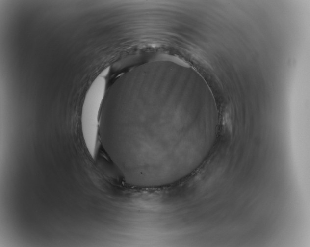 X0000089730868200707051737
