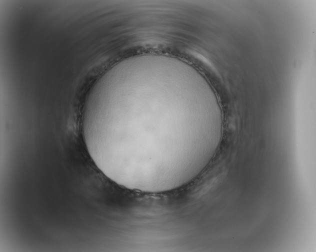 X0000089730869200707051737