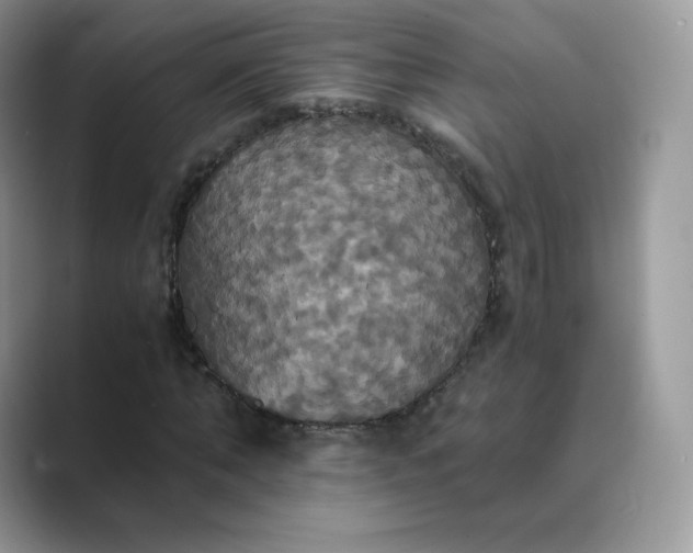 X0000089730870200707051737