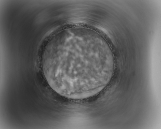 X0000089730871200707051737