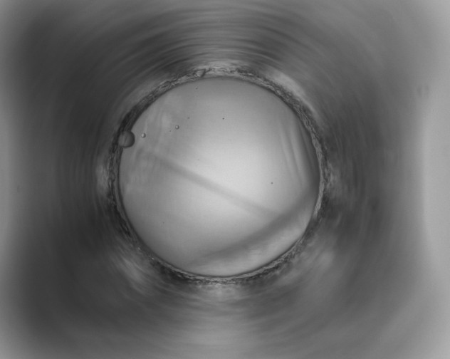 X0000089730874200707051737