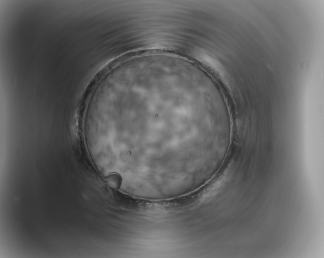 X0000089730875200707051737