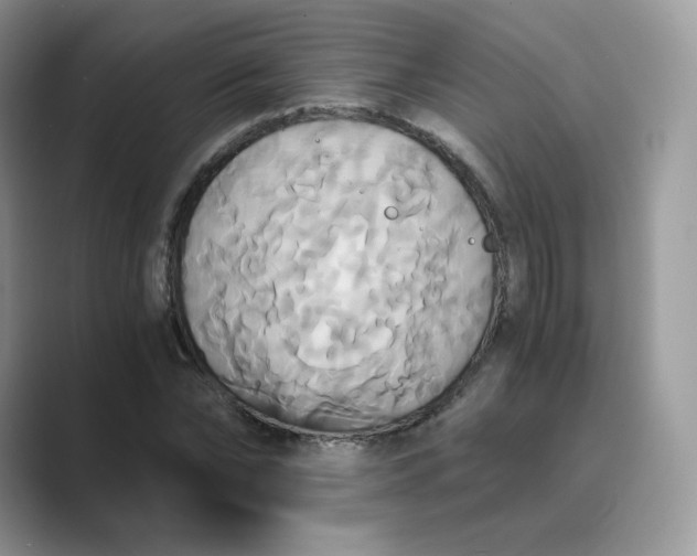 X0000089730878200707051737