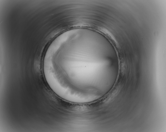 X0000089730882200707051737