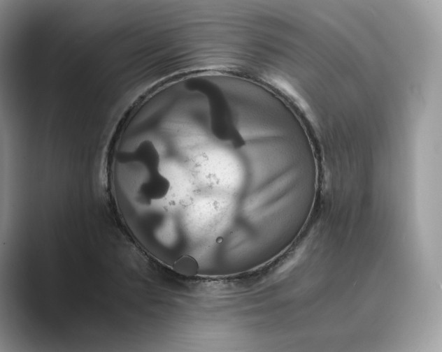 X0000089730883200707051737