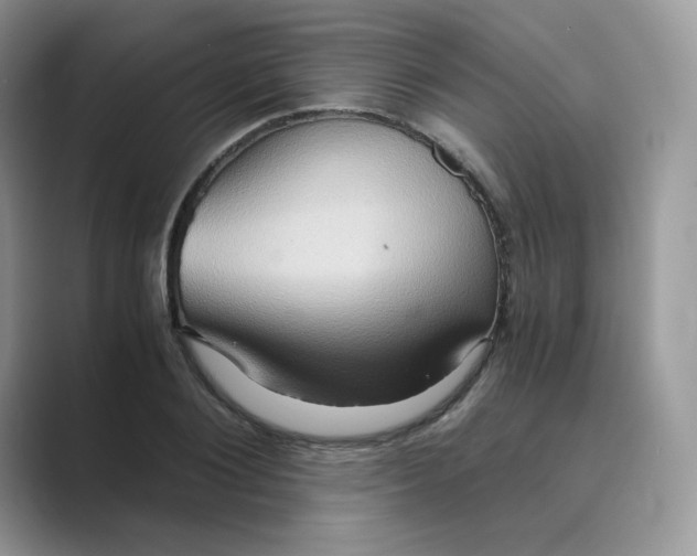 X0000089730884200707051737