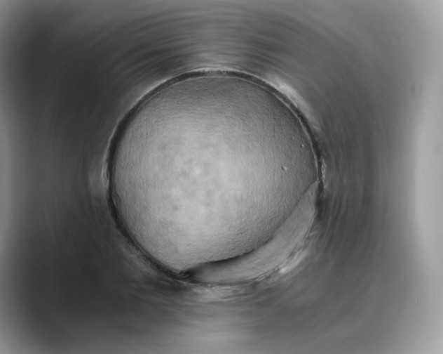 X0000089730885200707051737