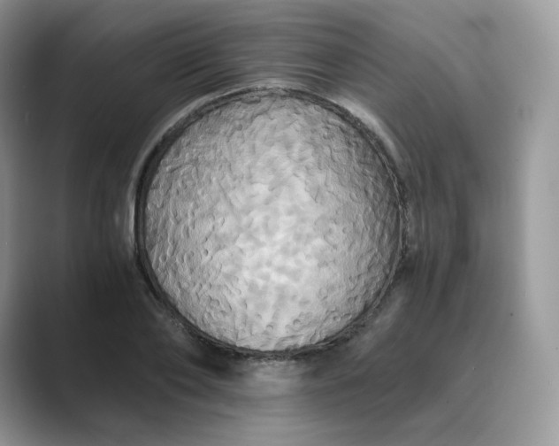 X0000089730886200707051737