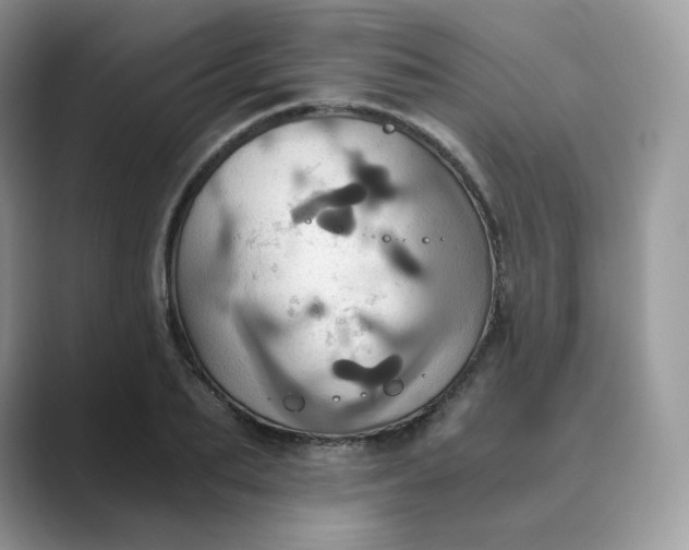 X0000089730887200707051737