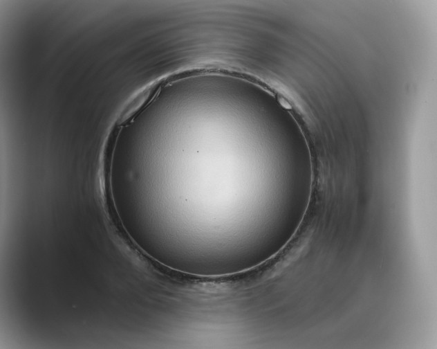 X0000089730888200707051737