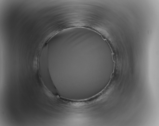 X0000089730889200707051737