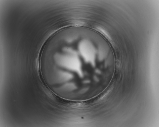 X0000089730891200707051737