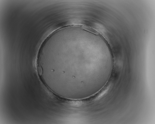 X0000089730893200707051737