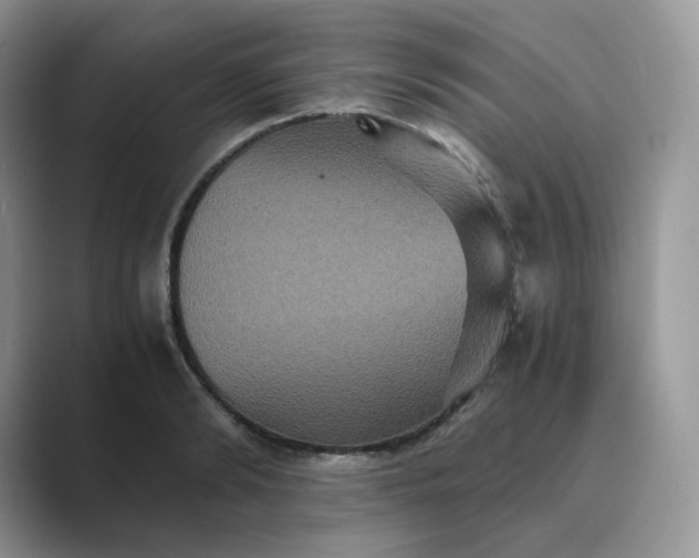 X0000089730894200707051737