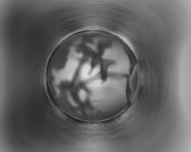 X0000089730895200707051737