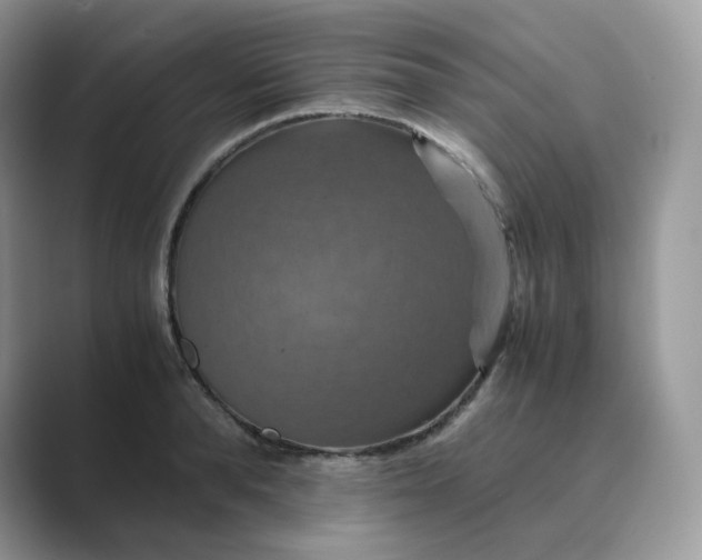 X0000089730896200707051737
