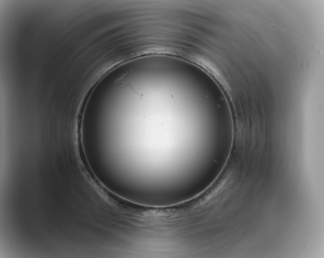 X0000089730898200707051737