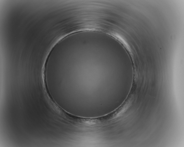 X0000089730899200707051737