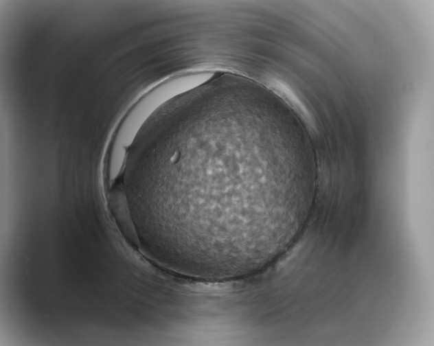 X0000089730900200707051737