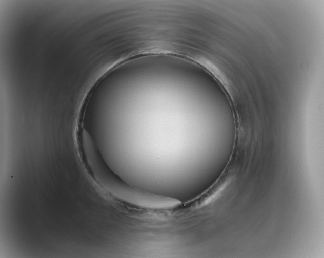 X0000089730901200707051737