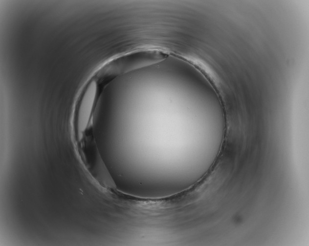 X0000089730902200707051737