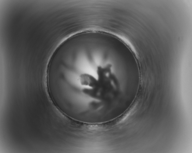X0000089730903200707051737