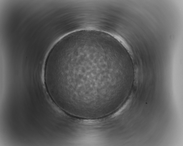 X0000089730904200707051737