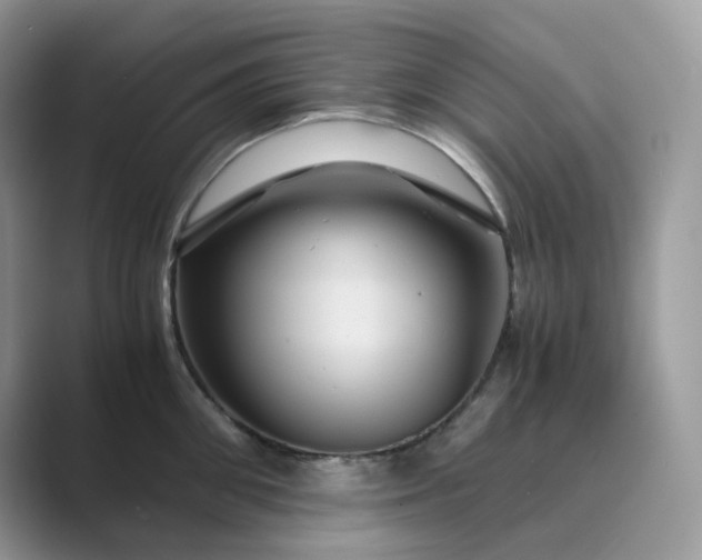 X0000089730906200707051737
