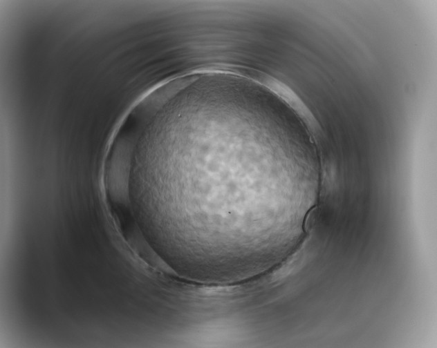 X0000089730908200707051737