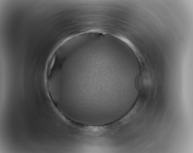 X0000089730910200707051737