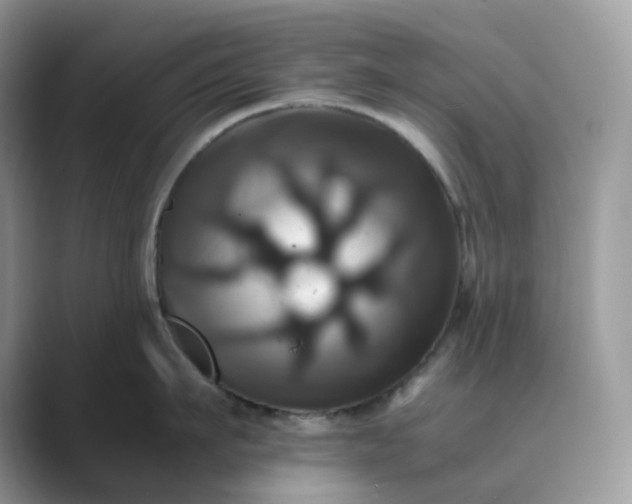 X0000089730911200707051736