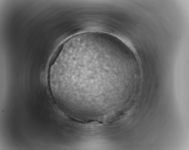 X0000089730912200707051736