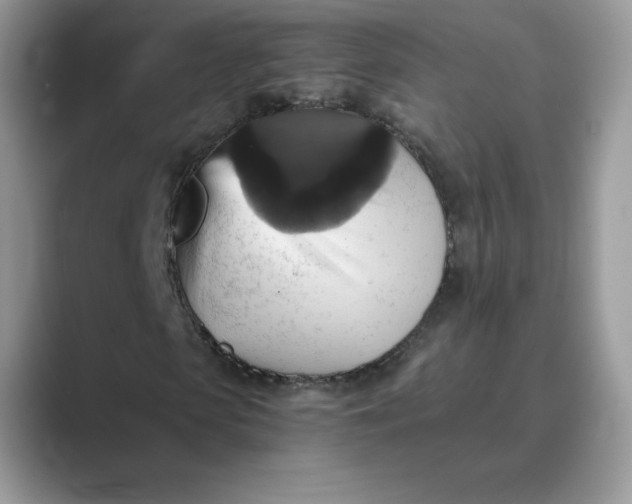 X0000089730913200707051736