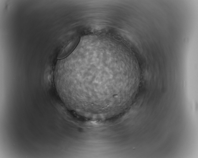 X0000089730914200707051736