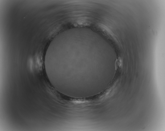 X0000089730915200707051736